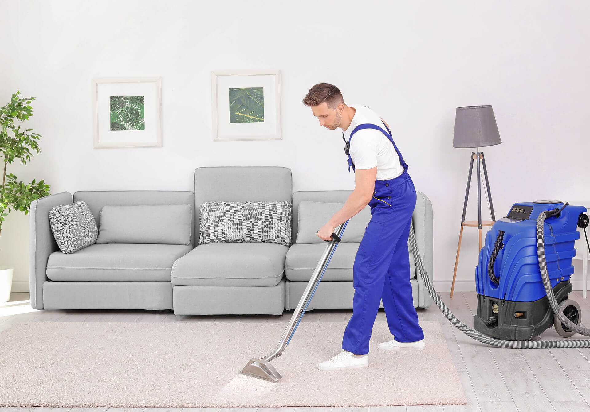 Carpet Cleaning 9